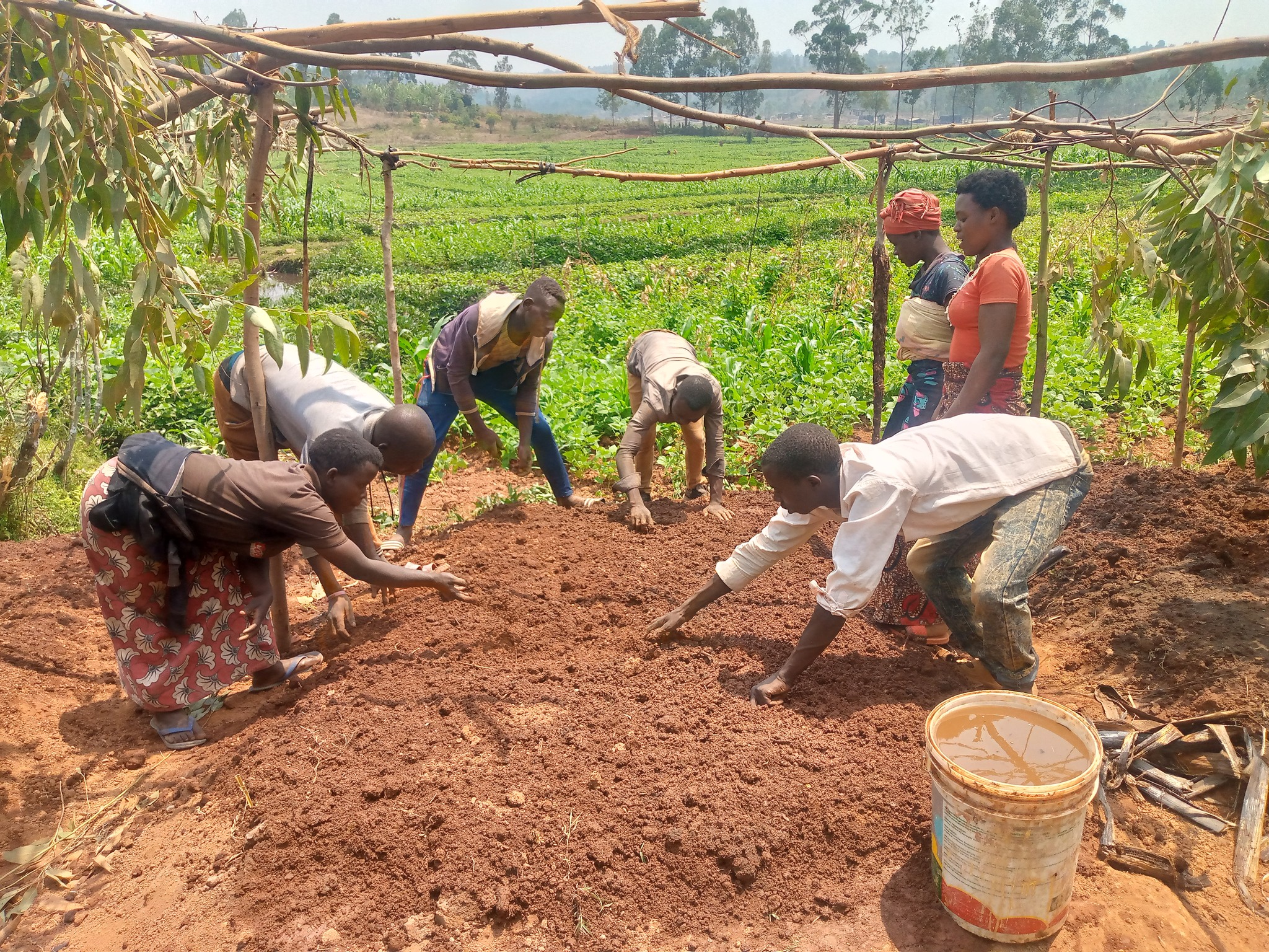 Changements Climatiques et Biodiversité