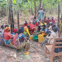 DES PRATIQUES AGROECOLOGIQUES : VERS LA DURABILITE ALIMENTAIRE