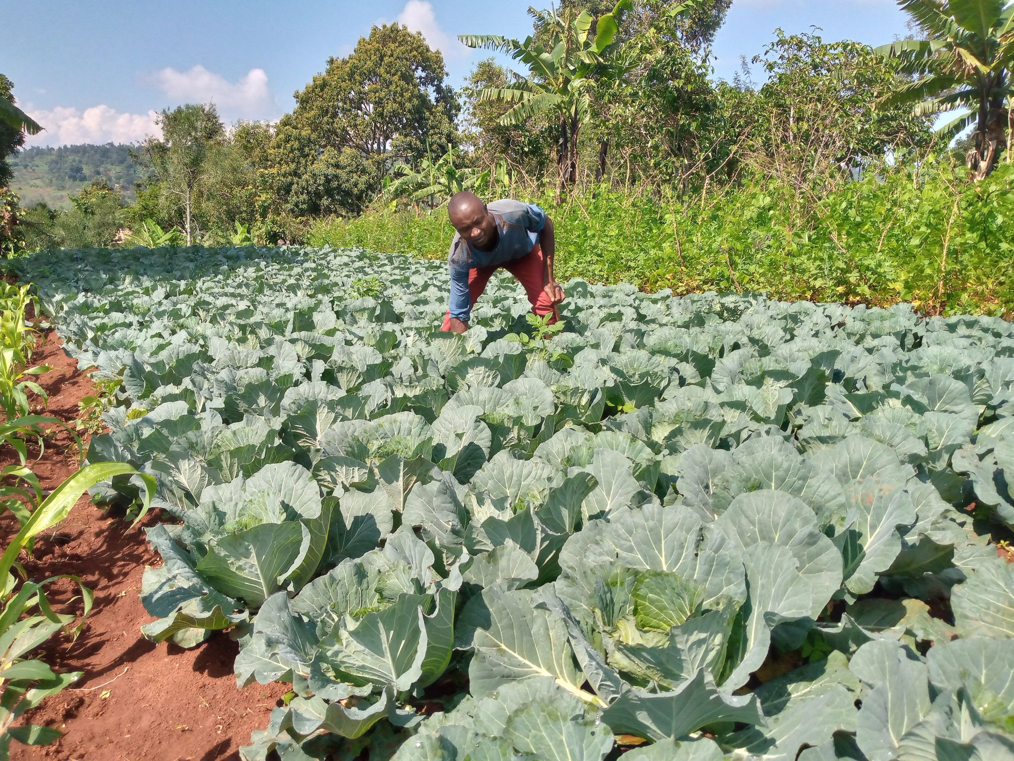 AGROECOLOGIE
