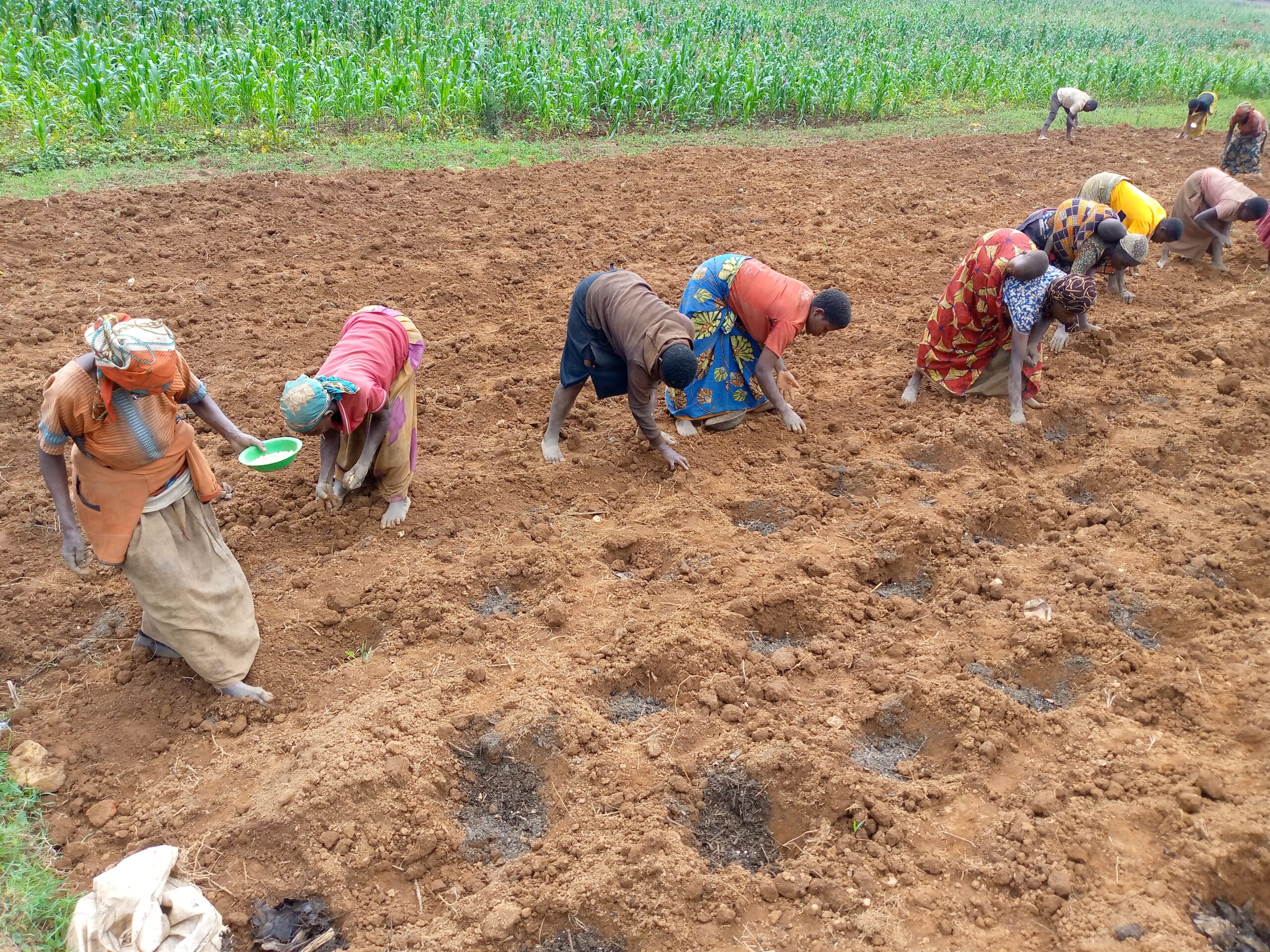 DROITS FONCIERS DES BATWA AU BURUNDI