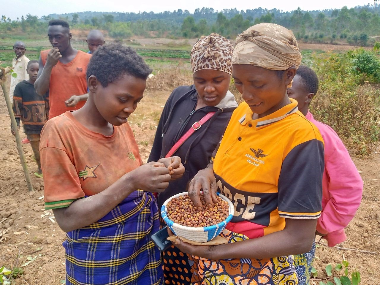 LA MISE EN PLACE DE PEPINIERES POUR UNE AGRICULTURE DURABLE