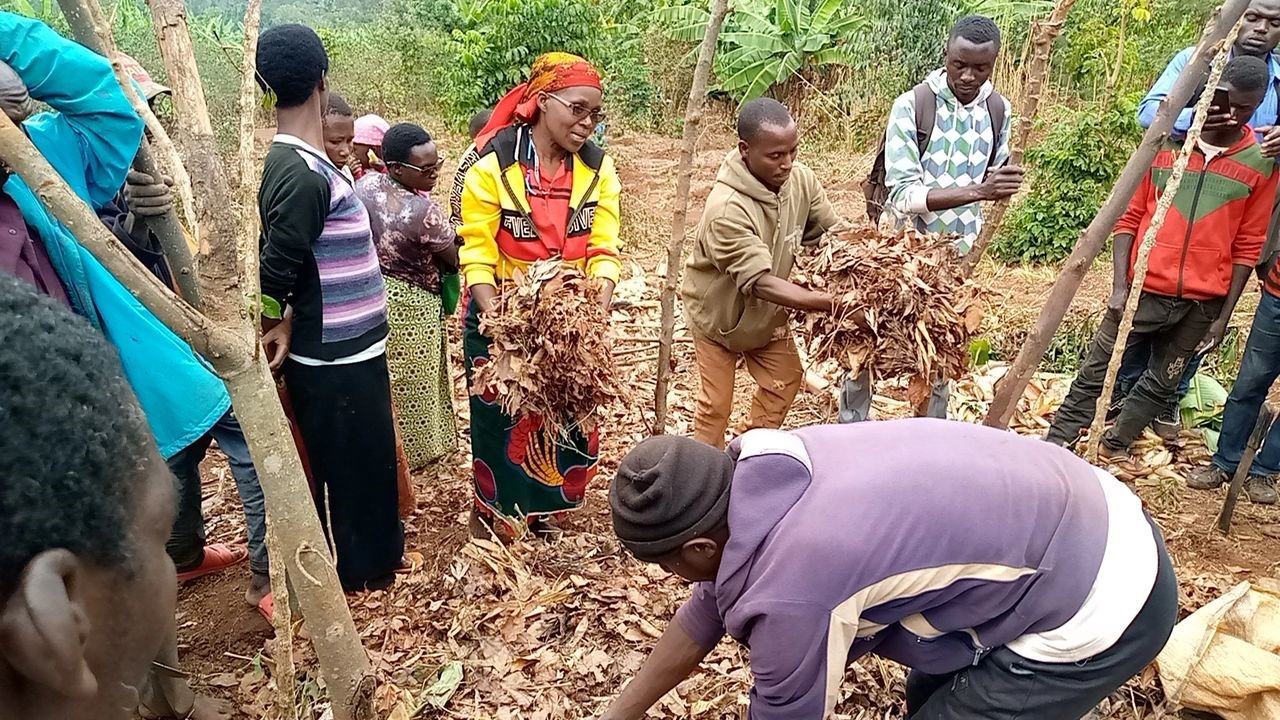 LA JEUNESSE BURUNDAISE ET L’AGRICULTURE ECOLOGIQUE